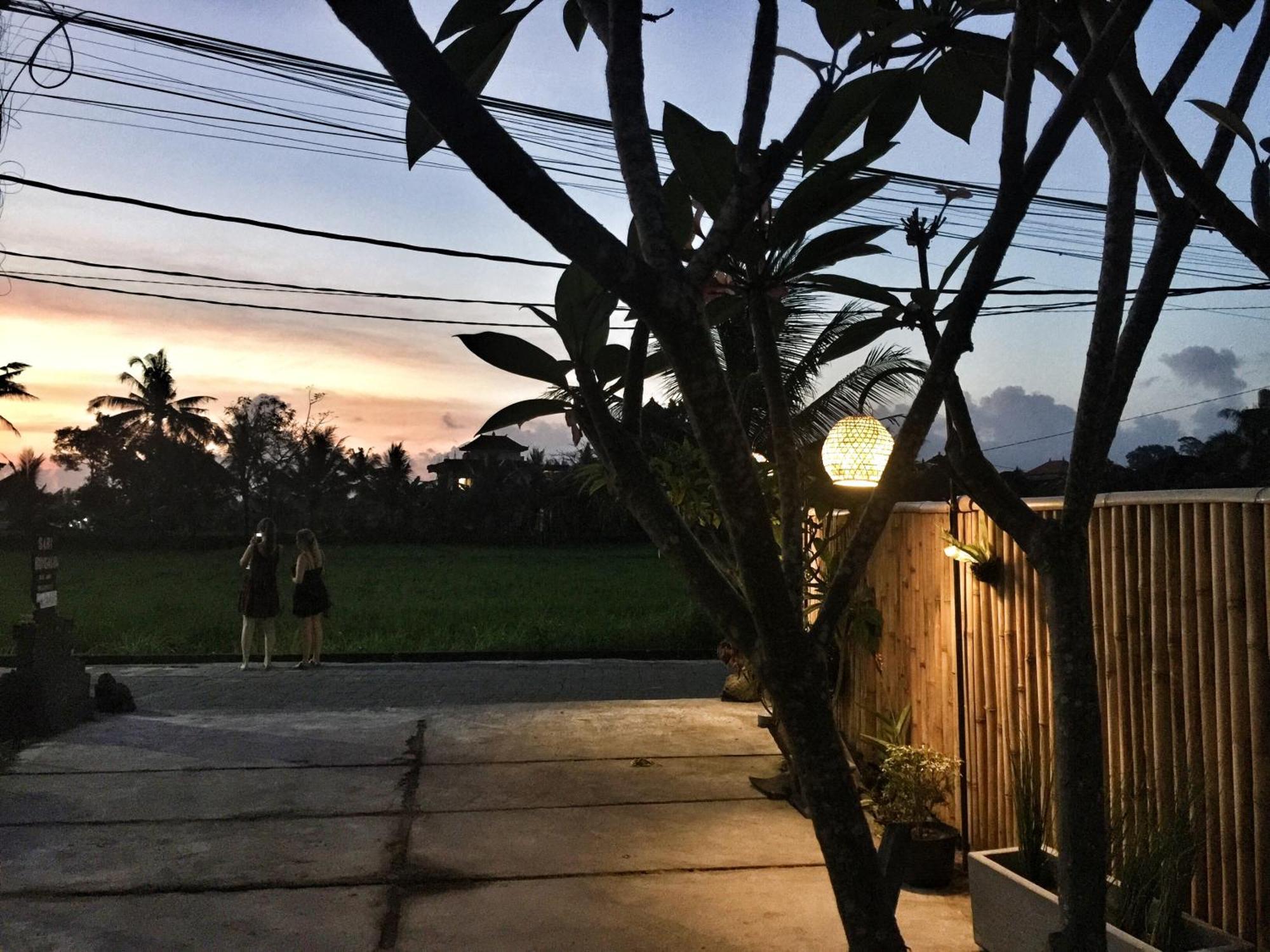 Sari Bungalow Ubud Zewnętrze zdjęcie